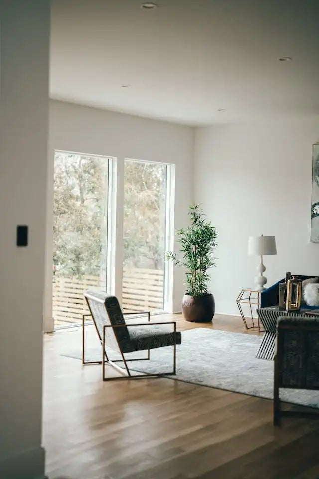 Salon moderne avec des planchers en bois clair, un grand tapis, un fauteuil sombre, une grande plante en pot et une grande lampe blanche.